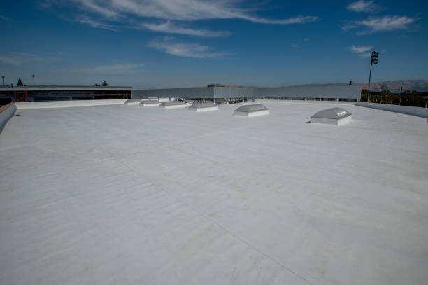 Best Cold Roofs  in Paulding, OH