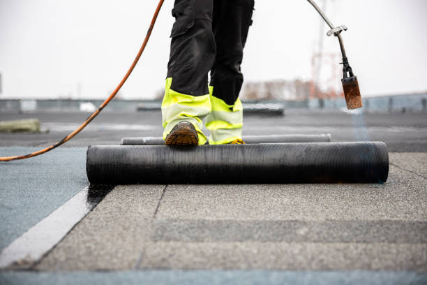 Best Asphalt Shingle Roofing  in Paulding, OH