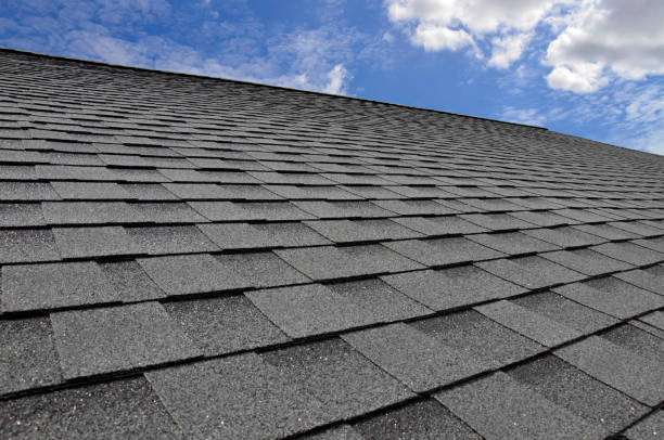 Best Steel Roofing  in Paulding, OH